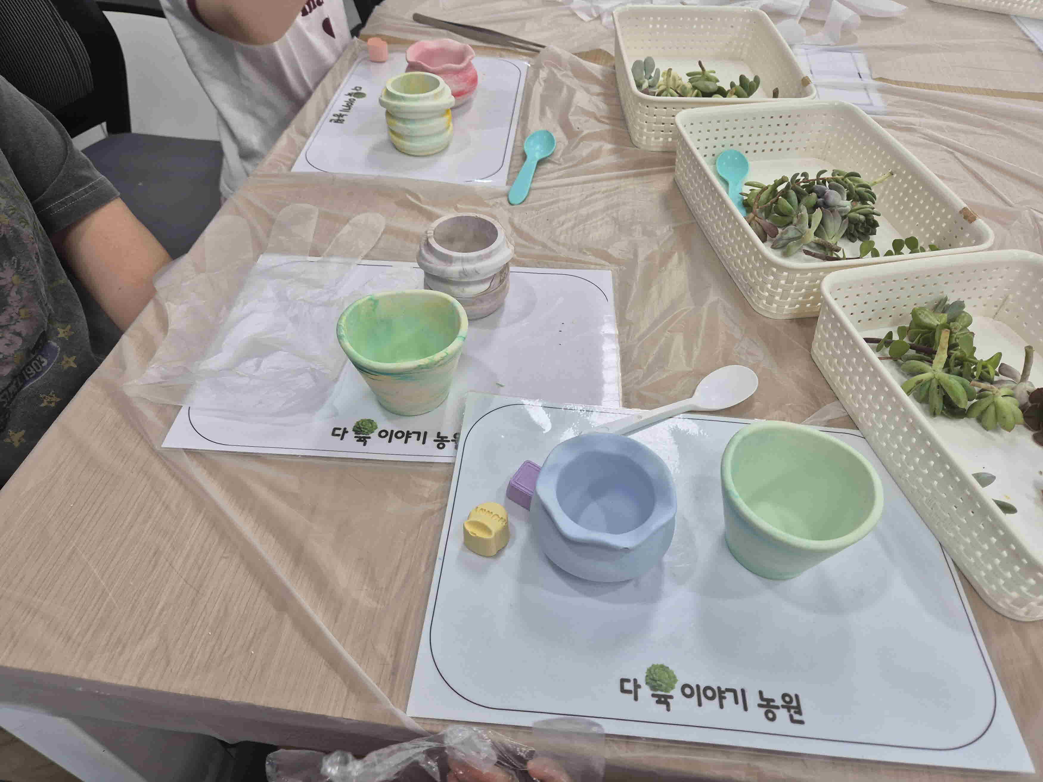 다육화분