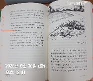 침묵의 봄-6